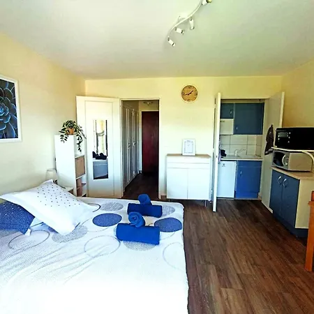 Lumineux Studio-greoux-les-bains Apartment *